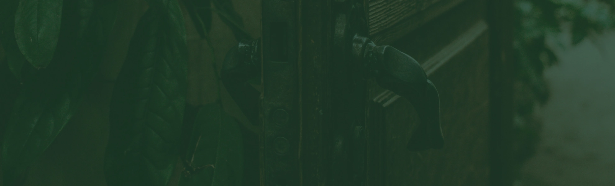 cropped photo of an antique door and handle opening to the outside, all under a forest green overlay (Begin phase)