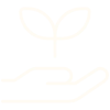 parchment colored icon of a hand holding a seedling (Stabilize phase icon)