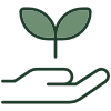 sage and forest green icon of a hand holding a seedling (Stabilize phase icon)