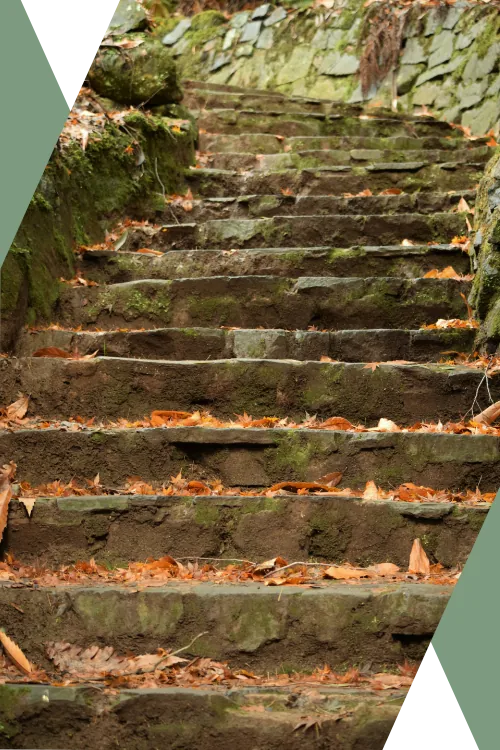 photo of old stone stairs, following a curved and mossy stone wall